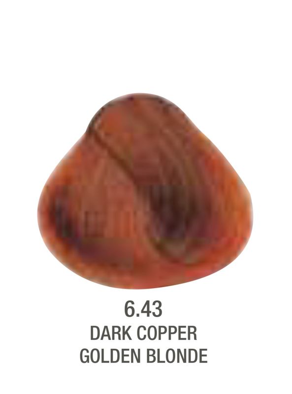 Alfaparf Evolution Color # 6.43 Dark Copper Golden Blonde