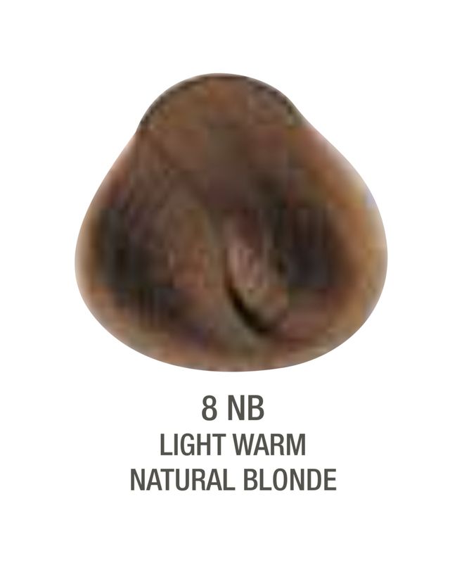 Alfaparf Evolution Color # 8NB Light Warm Natural Blonde