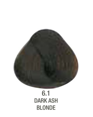 Alfaparf Evolution Color # 6.1 Dark Ash Blonde