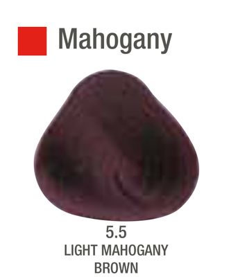 Alfaparf Evolution Color # 5.5 Light Mahogany Brown