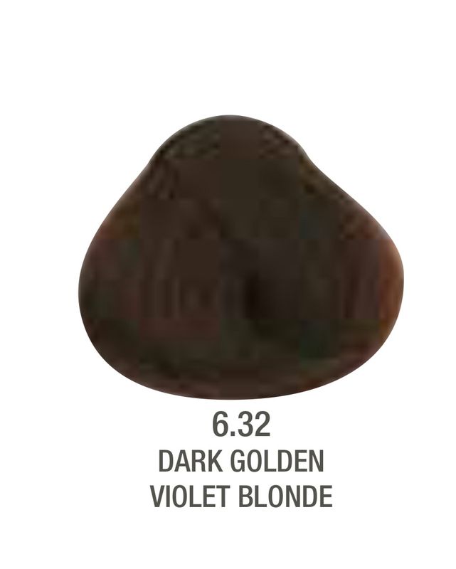 Alfaparf Evolution Color # 6.32 Dark Golden Violet Blonde