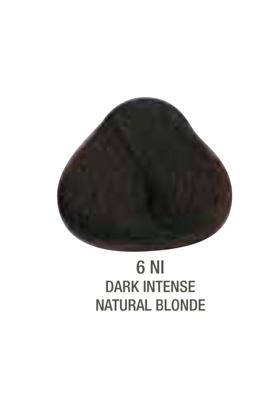 Alfaparf Evolution Color # 6NI Dark Intense Natural Blonde