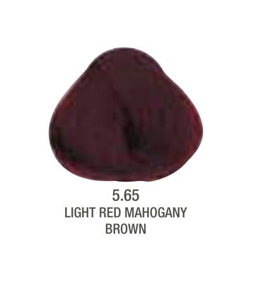 Alfaparf Evolution Color # 5.65 Light Red Mahogany Brown