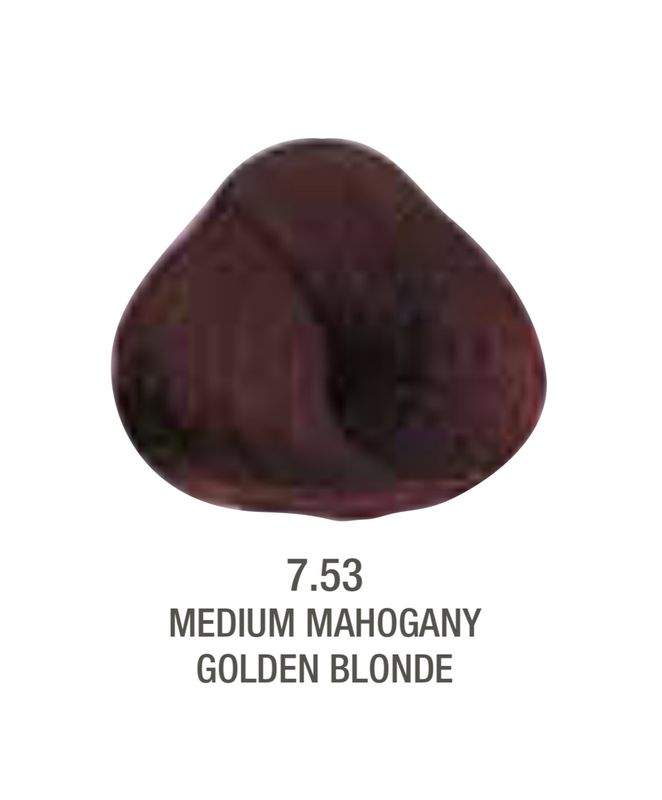 Alfaparf Evolution Color # 7.53 Medium Mahogany Golden Blonde