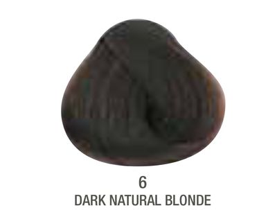 Alfaparf Evolution Color # 6 Dark Natural Blonde
