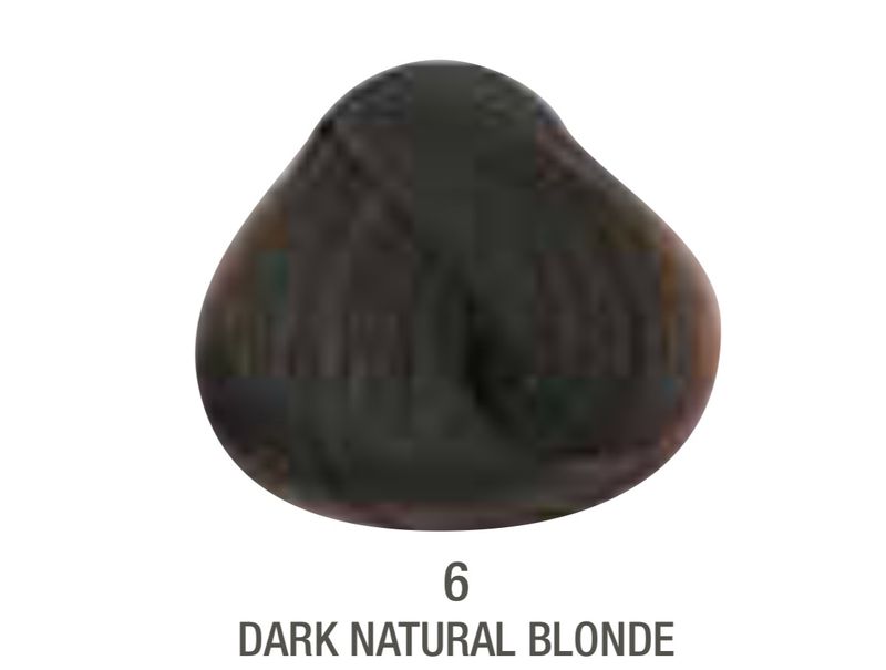 Alfaparf Evolution Color # 6 Dark Natural Blonde