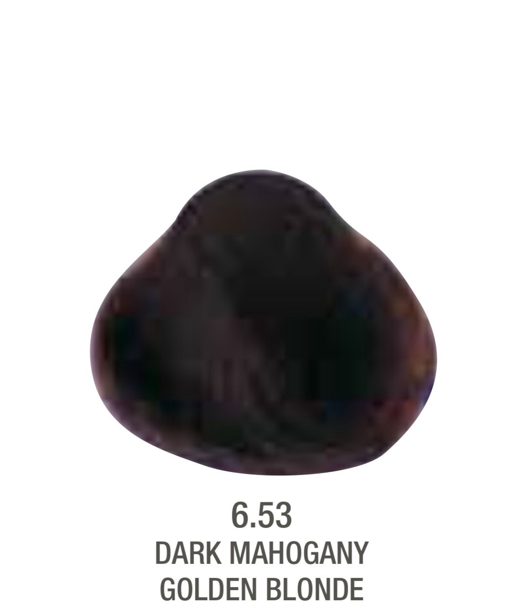 Alfaparf Evolution Color # 6.53 Dark Manogany Golden Blonde
