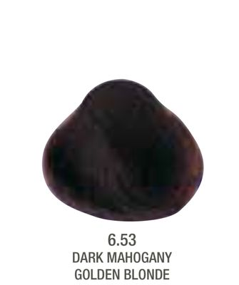 Alfaparf Evolution Color # 6.53 Dark Manogany Golden Blonde