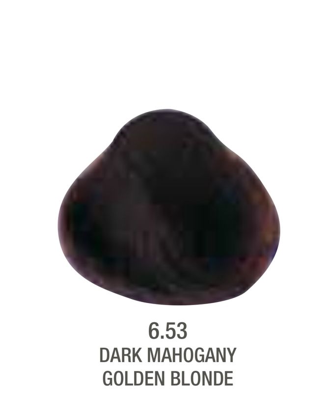 Alfaparf Evolution Color # 6.53 Dark Manogany Golden Blonde