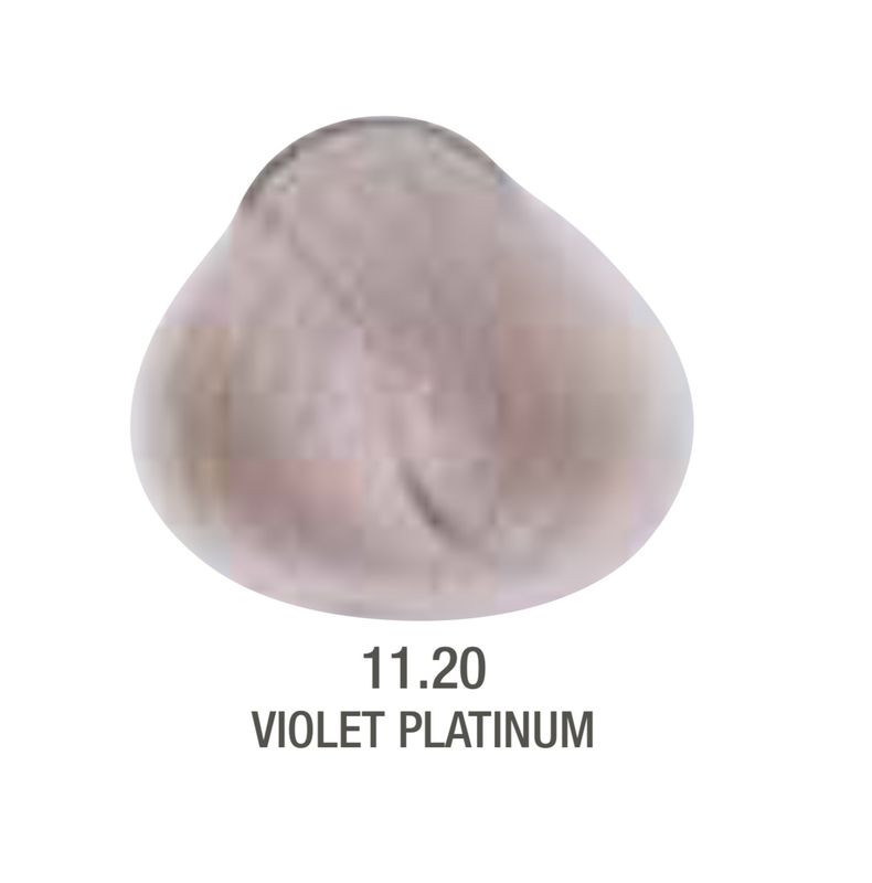 Alfaparf Evolution Color # 11.20 Violet Platinum