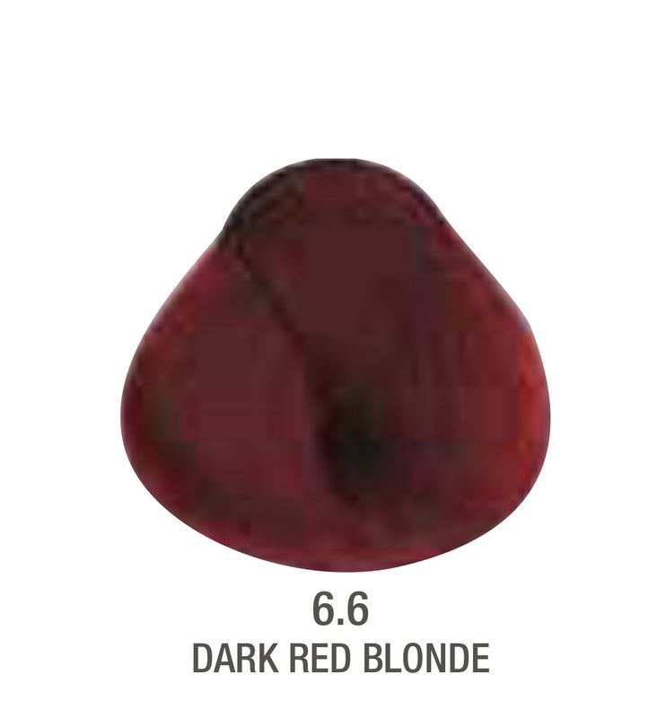 Alfaparf Evolution Color # 6.6 Dark Red Blonde