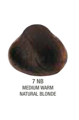 Alfaparf Evolution Color # 7NB Medium Warm Natural Blonde