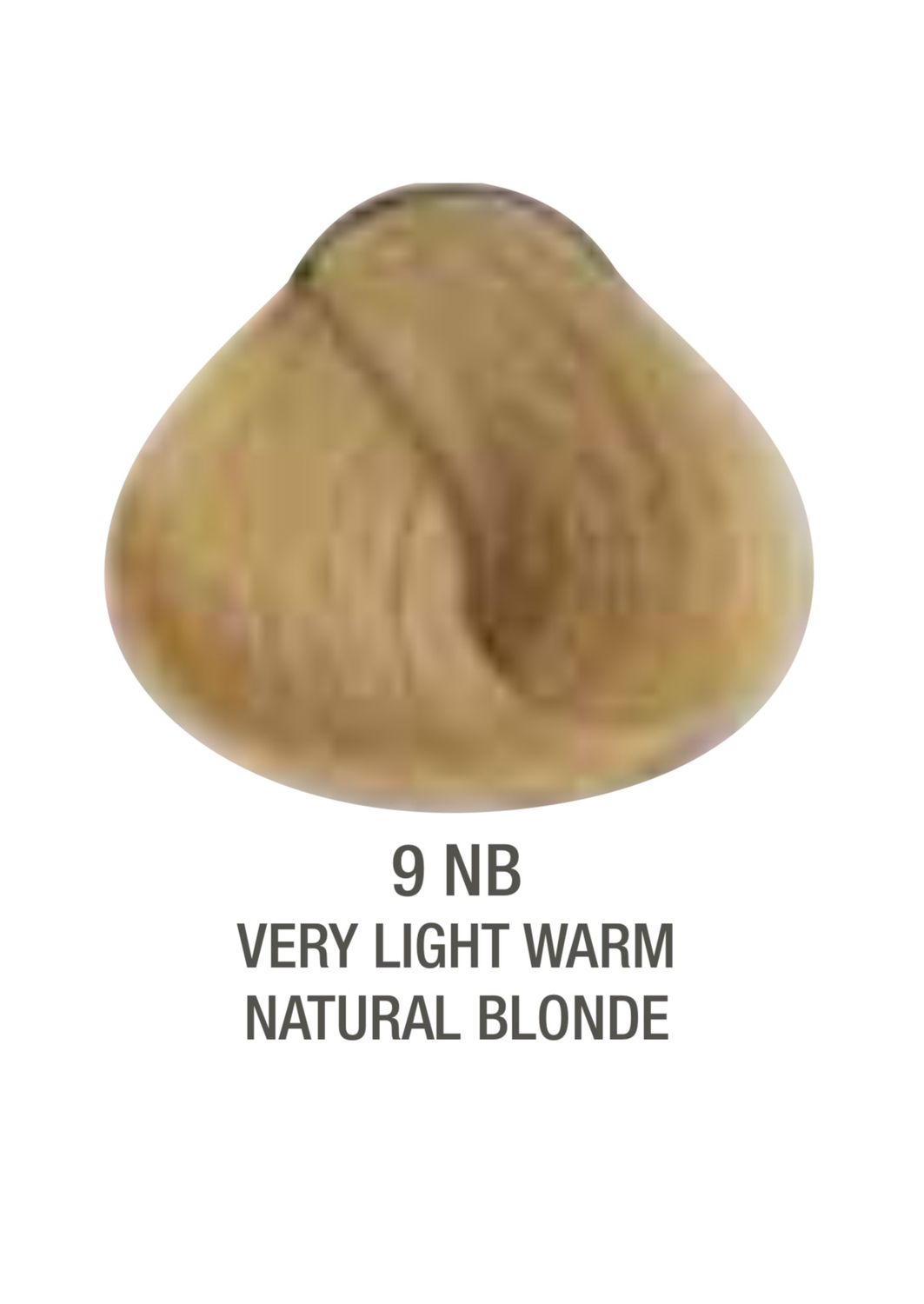Alfaparf Evolution Color # 9NB Very Light Warm Natural Blonde Alfaparf Evolution Color # 9NB Very Light Warm Natural Blonde