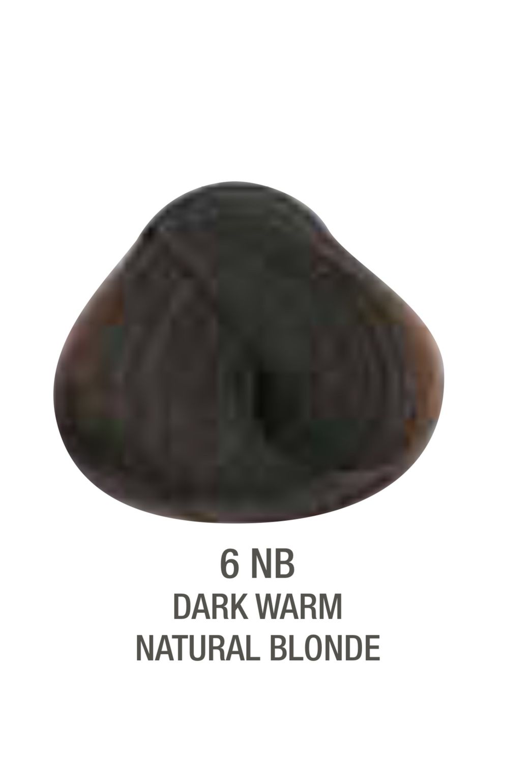 Alfaparf Evolution Color # 6NB Dark Warm Natural Blonde Alfaparf Evolution Color # 6NB Dark Warm Natural Blonde