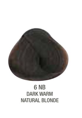 Alfaparf Evolution Color # 6NB Dark Warm Natural Blonde