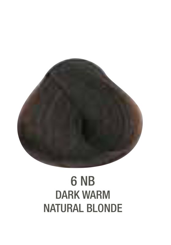 Alfaparf Evolution Color # 6NB Dark Warm Natural Blonde