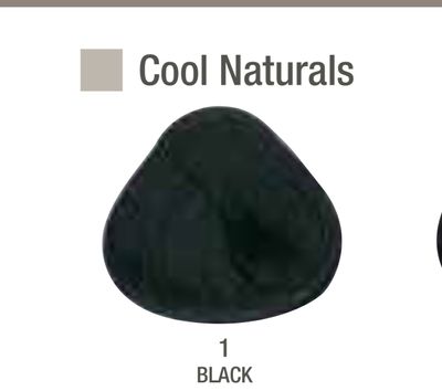 Alfaparf Evolution Color # 1 Black