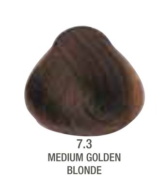 Alfaparf Evolution Color # 7.3 Medium Golden Blonde