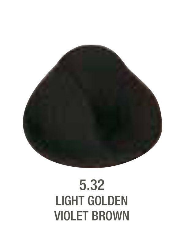 Alfaparf Evolution Color # 5.32 Light Golden Violet Brown