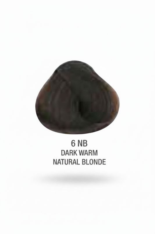 Alfaparf Evolution Color # 6NB Dark Warm Natural Blonde