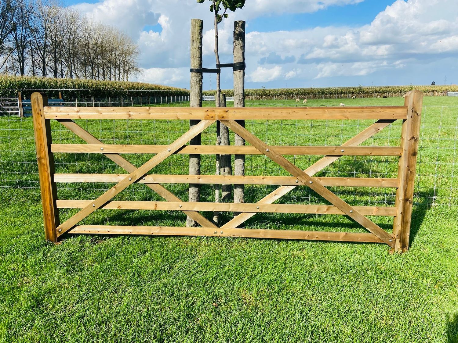 Engelse poort nobifix 300cm Engelse poort nobifix 300cm