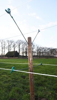 Krulstaart isolator, groen 40 cm 8mm