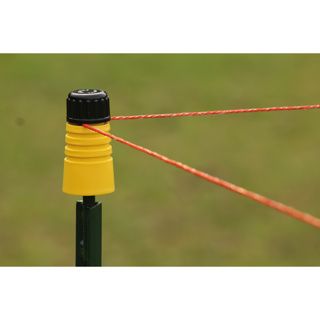 Dumpis, KOLTEC geel+zwarte dop 25stuks