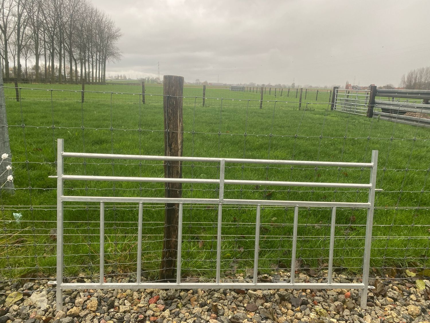 Vast doorkruiphek voor lammeren Vast doorkruiphek voor lammeren