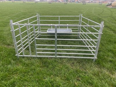 Verstelbaar doorkruiphek voor lammeren