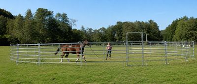 Texas panel met deur 300 cm | Deur 130 cm | Warmbad verzinkt