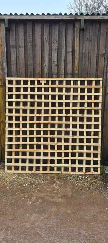 Square Trellis 19x38 Batten 1.830mm (6') Long