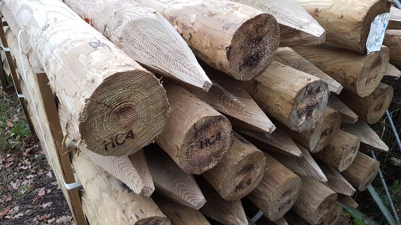 ROUND POINTED STAKE -  3.0M X 125/150MM