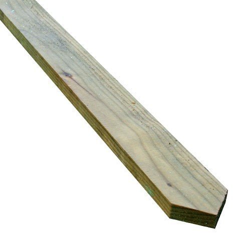 Pointed Top Palisade Board 1200mm 22mm x 75mm