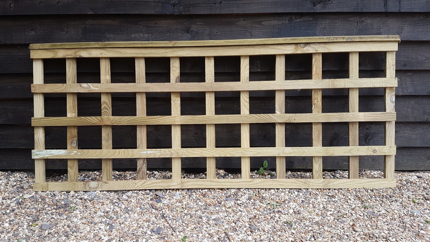 Square Trellis 16x38 Batten 1.830mm (6') Long