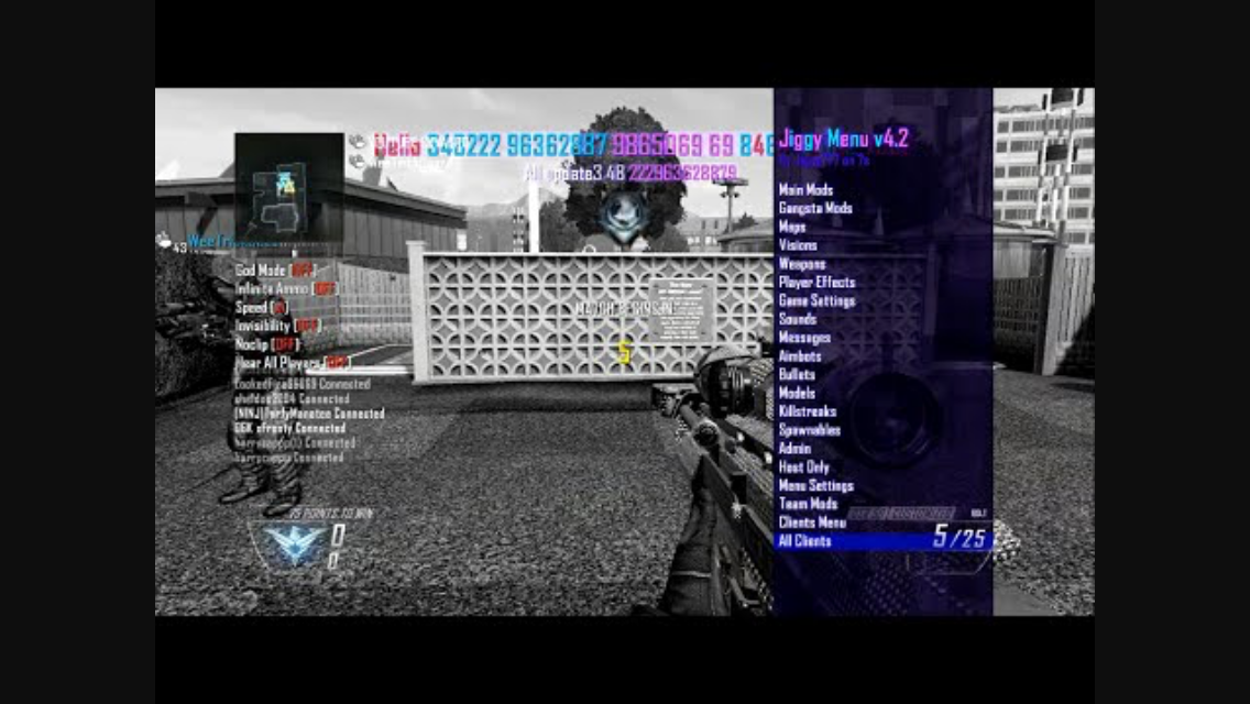 LIFETIME MODDER