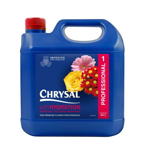 CHRYSAL PROF 1 GAL HYDRATION