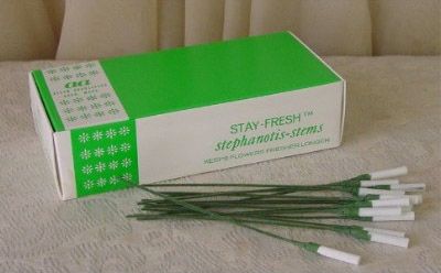 STEPHANOTIS STEMS GREEN 200CT.