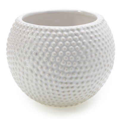 5'' x 4’' SPOTTI POT (AD)