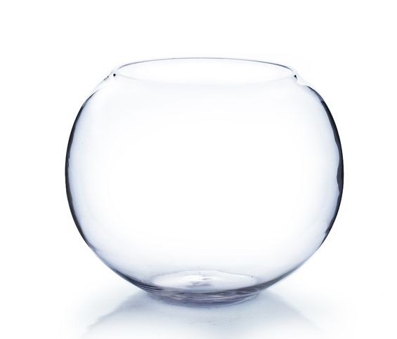 6"d CLEAR BUBBLE/FISH BOWL