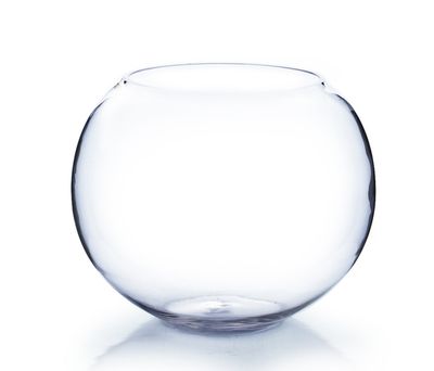 6"d CLEAR BUBBLE/FISH BOWL