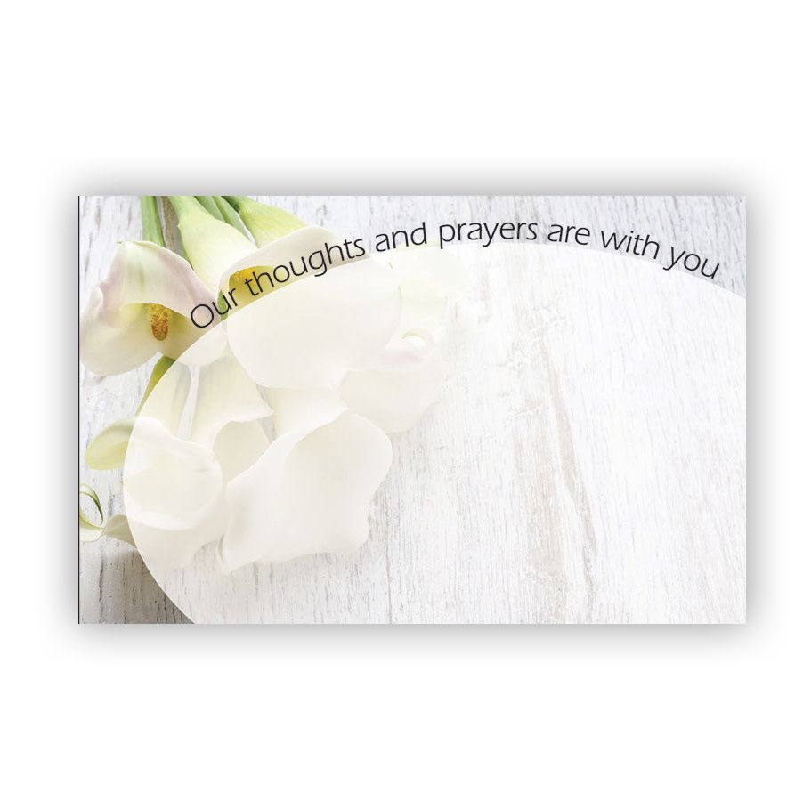 Our thoughts -White Callas, wood background