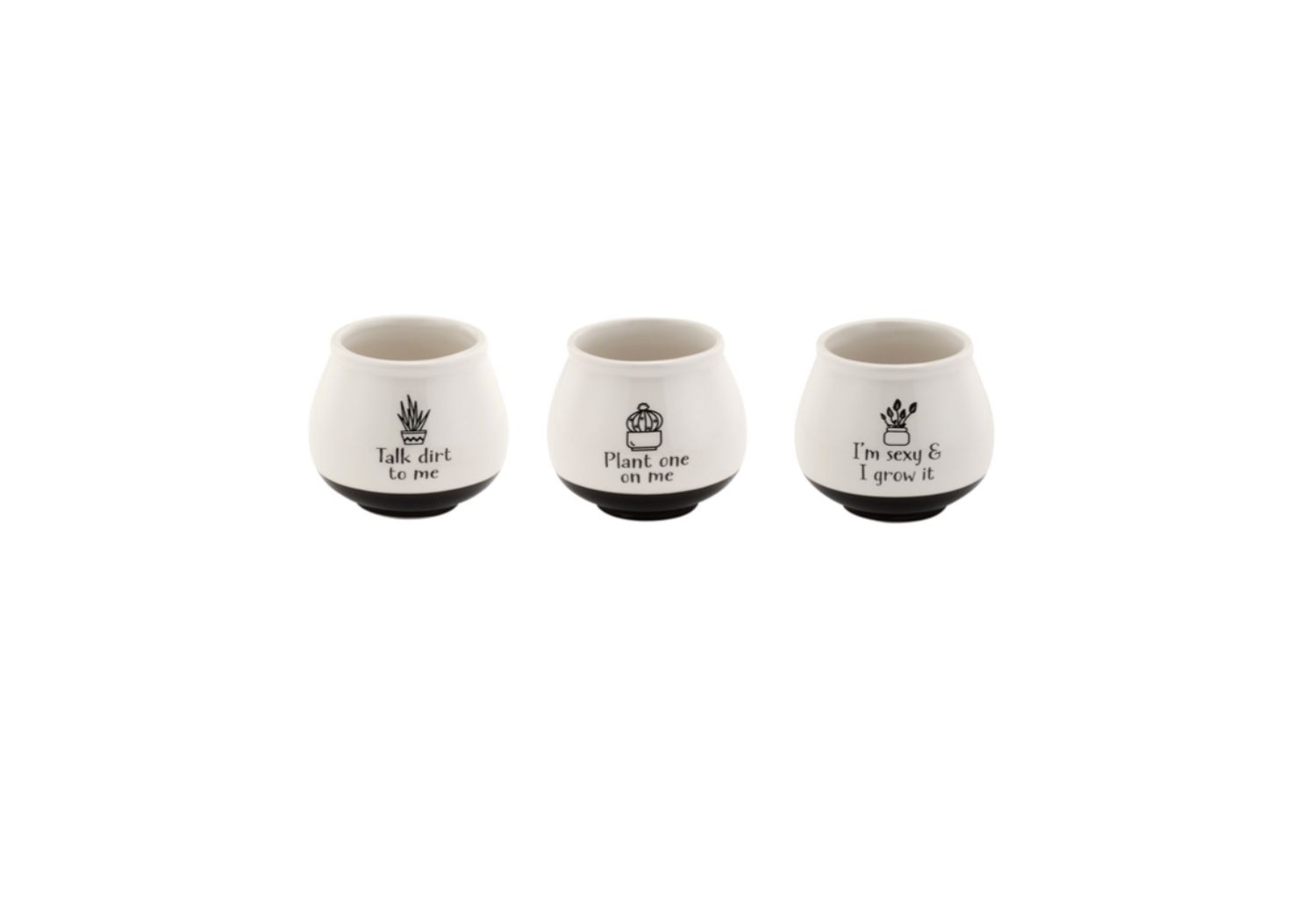 60% off was $8 now $3.20. 3.75" H x 3" W x 3" L WITTY CACHE POT