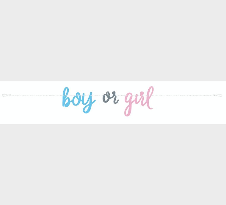 BLUE AND PINK GENDER REVEAL BANNER, 7 FT, reg $2.99
