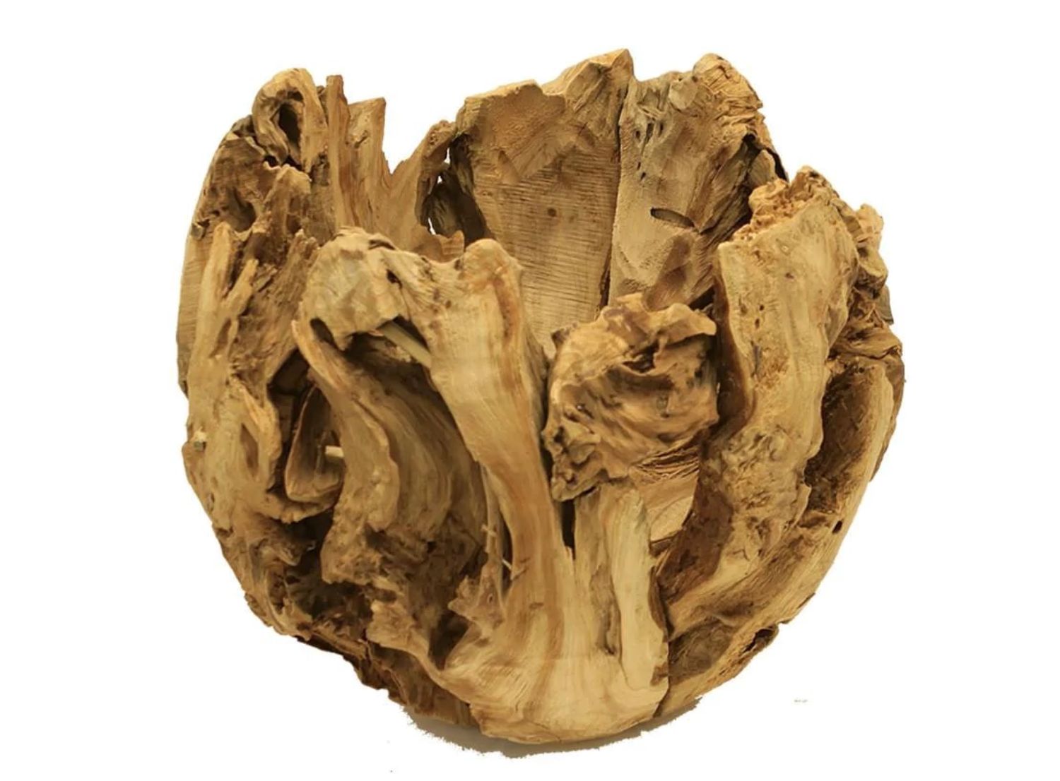 Natural Wood Pot H-16"" xD-18""