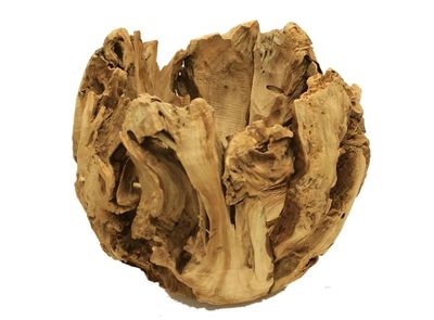 Natural Wood Pot H-16"" xD-18""