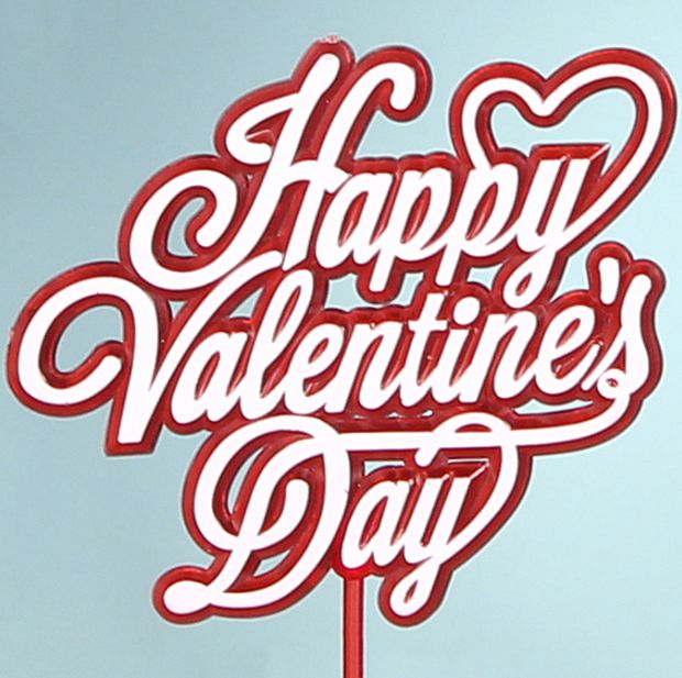 HAPPY VALENTINES DAY PICK