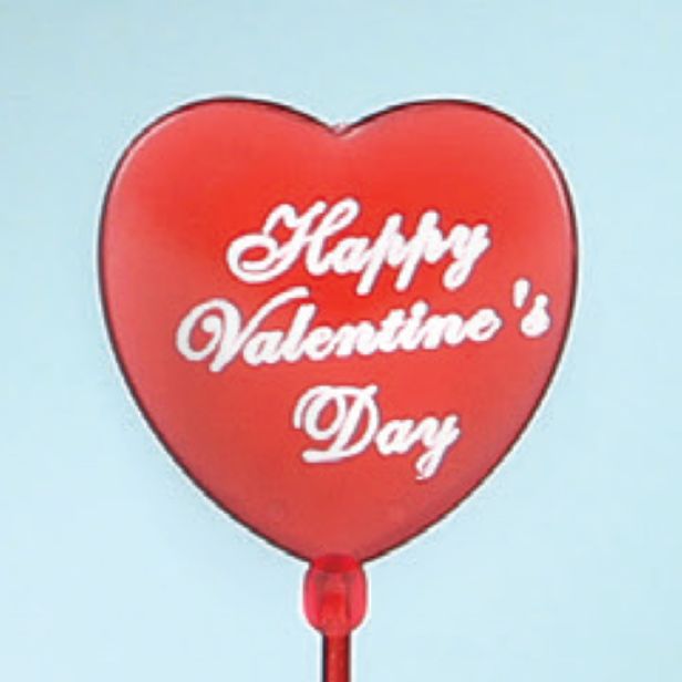 "HAPPY VALENTINE'S DAY" HEART PICK