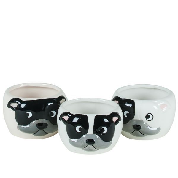 ROUND DOG POTTERY 2.75’’ X 2, REG $4.99