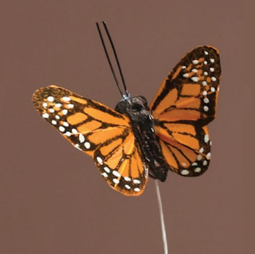 2’’ MONARCH BUTTERFLIES, 2 DZ