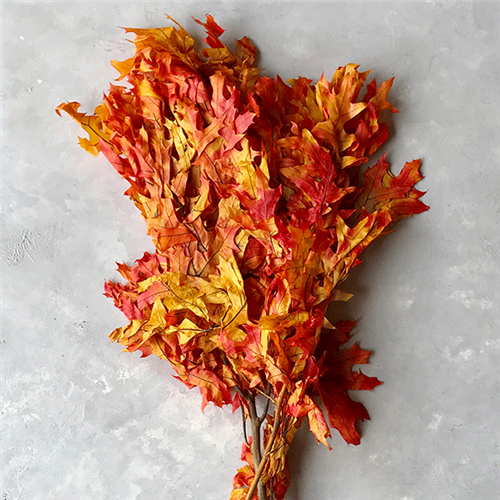8 OZ TRANSPARENT OAK LEAVES, AUTUMN / FAll
